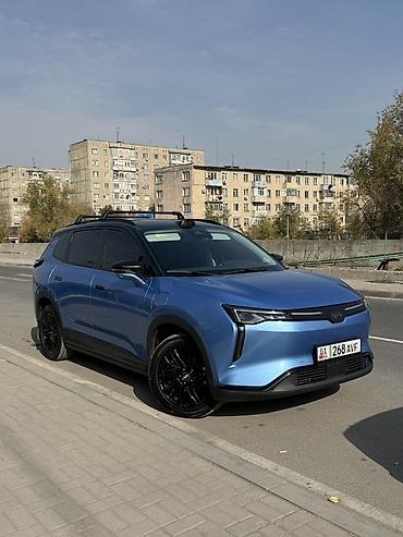 Weltmeister: Weltmeister W6, 2022 г., 54000 км — 1