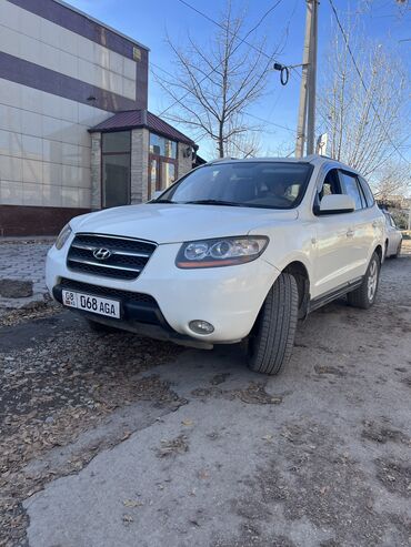 автомобили хундай: Hyundai Santa Fe: 2009 г., 2 л, Автомат, Дизель, Кроссовер