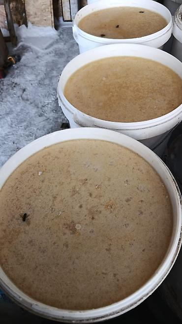 Мёд: Мёд Тюп и Каркара 20 тон анализ на антибиотик и пестициды прошел стоит — 3