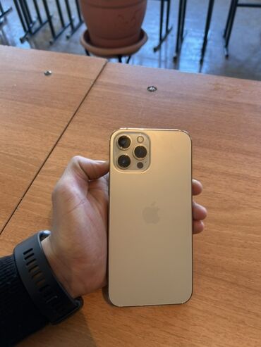 мясорубка zepter цена в бишкеке: IPhone 12 Pro Max, 128 ГБ, Серебристый, Face ID