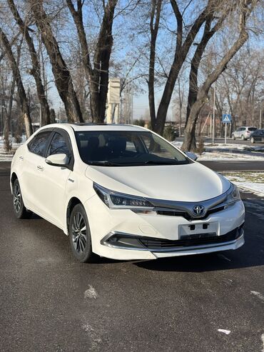 таёта витиз: Toyota Corolla: 2019 г., 1.8 л, Робот, Гибрид, Седан