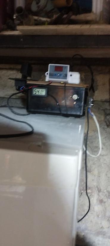 generator ev ucun: 300 yumurta, Azərbaycan, Bütün növ quşlar üçün — 3