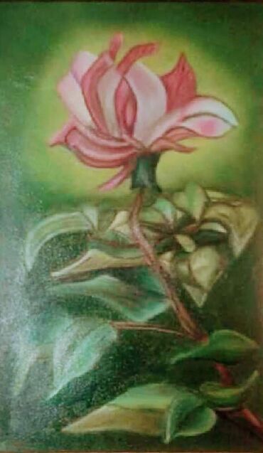 Slike i ramovi: Slika, Novo — 2