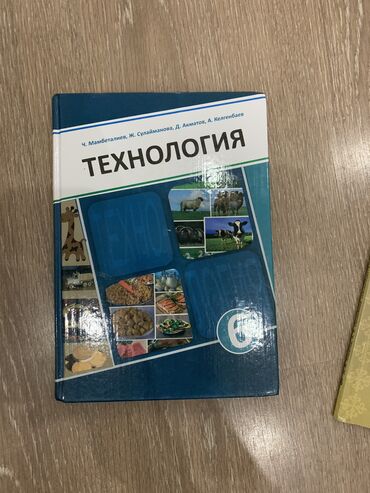 гдз английский 6 класс: Продаю книги!!!’ Технология 6 класс новая-250 ИХТ новая 6 класс-150