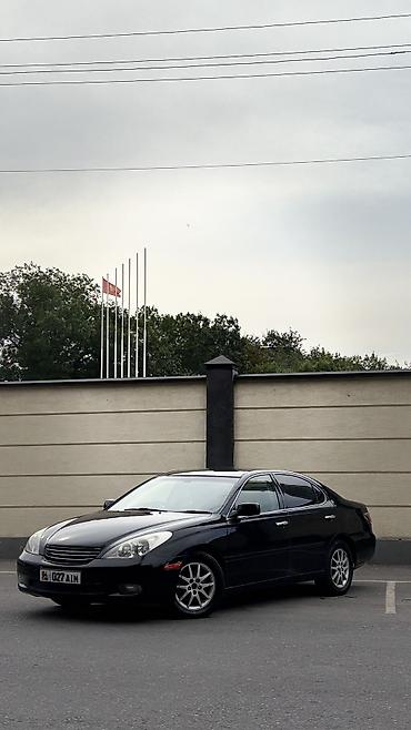 мойка для машины купить: Toyota Windom: 2002 г., 3 л, Автомат, Бензин, Седан — 3