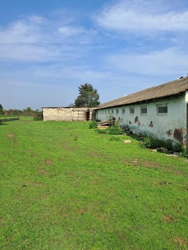 Torpaq sahələrinin satışı: Kənd təsərrüfatı -da lalafo.az — 2 Torpaq sahələrinin satışı: Kənd təsərrüfatı — 2