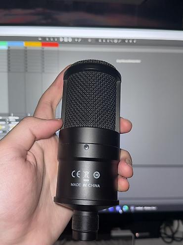 rant ace: Конденсаторный студийный микрофон Steinberg ST-M01 - Форм-фактор — 2