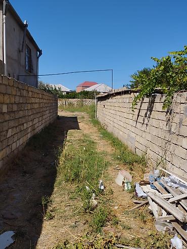 Torpaq sahələrinin satışı: 10 sot, Tikinti, Mülkiyyətçi, Kupça (Çıxarış), Bələdiyyə, Texniki pasport -da lalafo.az — 6 Torpaq sahələrinin satışı: 10 sot, Tikinti, Mülkiyyətçi, Kupça (Çıxarış), Bələdiyyə, Texniki pasport — 6