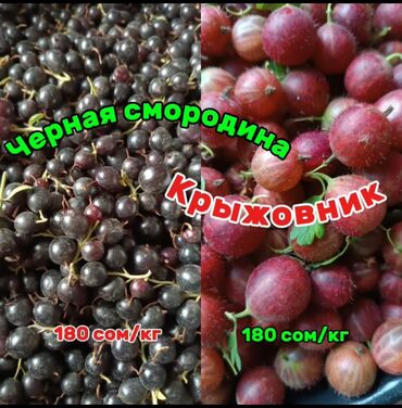 я ищу мебель бу: Карагат Чекене, Өзү алып кетүү, Акылуу жеткирүү