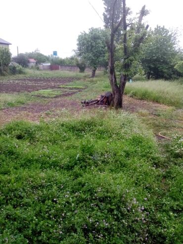 Həyət evləri və villaların satışı: 2 otaqlı, 78 kv. m, Orta təmir — 8