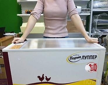 норма инкубатор: Инкубатор норма луппер бишкек сатылат жаны заводской bigfarm дукону — 3