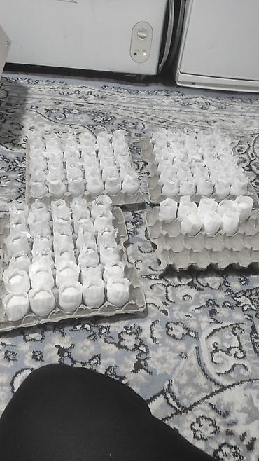 Куры, петухи: Продаю | Петух | Для разведения — 16