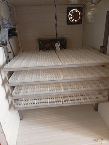 İnkubatorlar: Böyük həcmli avtomatik inkubator komplekti.tam işlək vəziyyətdədir.504 — 4