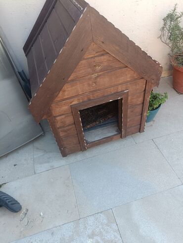 Gəmiricilər: Taxta it evi - Material: tam ağac konstruksiya, taxta lamellərdən