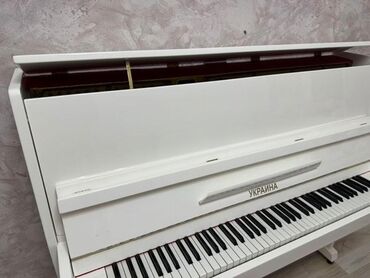 Pianolar: Piano, Akustik, Yeni