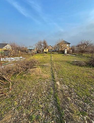 5 соток, Курулуш, Белек келишими, Кызыл китеп — 3