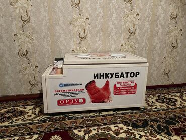 продам бочку: Инкубатор, Б/у, В наличии