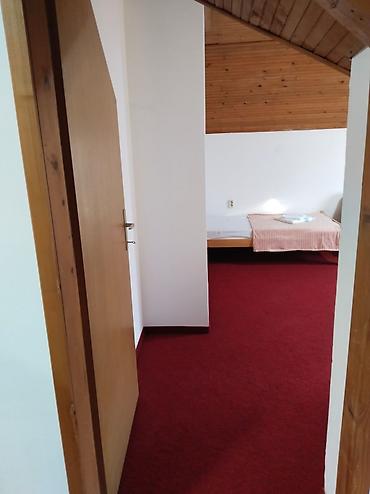 Tražim kuću za iznajmljivanje: Izdajem stan za dve studenkinje! Podbara, centar grada Novog Sada. Za — 6