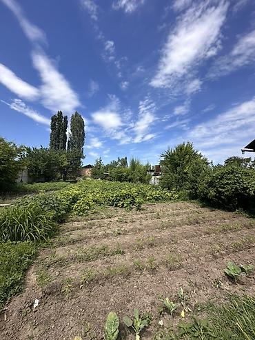 the level: 📍 В Гавриловка продается дом на участке 16 соток. 🏡Дом без ремонта — 3