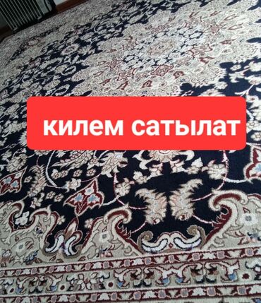 верблюжье одеяло цена бишкек: Ковер Б/у, 350 * Турция, Безналичная/наличная оплата