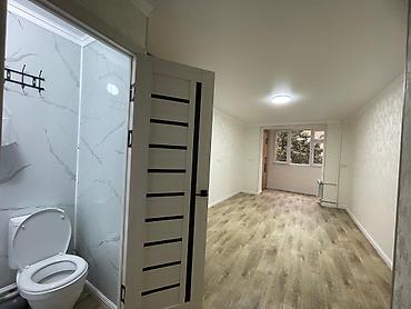 Продажа квартир: 1 комната, 27 м², парк Фучика Малосемейка, 3 этаж, Евроремонт — 10