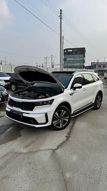 Kia: Kia Sorento: 2020 г., 1.6 л, Автомат, Гибрид, Кроссовер — 26