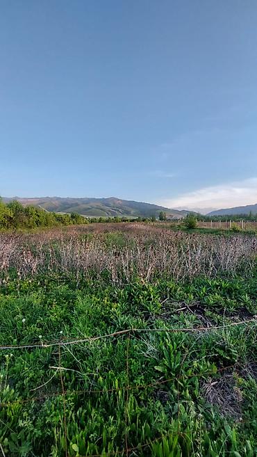 Продажа участков: 120 соток at lalafo.kg — 8 Продажа участков: 120 соток — 8