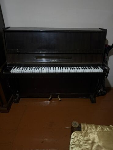 Pianolar: Piano, Akustik