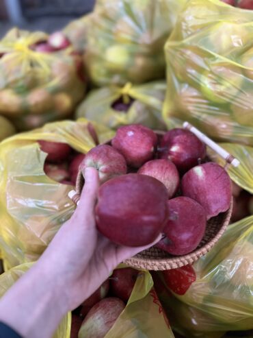 Яблоки: Яблоки Оптом — 3