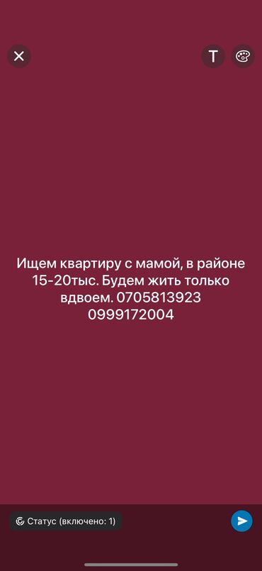 Долгосрочная аренда квартир: 1 комната, Собственник, Без подселения