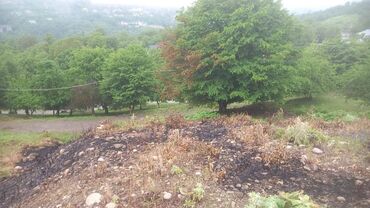 Torpaq sahələrinin satışı: 20 sot, Mülkiyyətçi, Kupça (Çıxarış), Texniki pasport -da lalafo.az — 2 Torpaq sahələrinin satışı: 20 sot, Mülkiyyətçi, Kupça (Çıxarış), Texniki pasport — 2