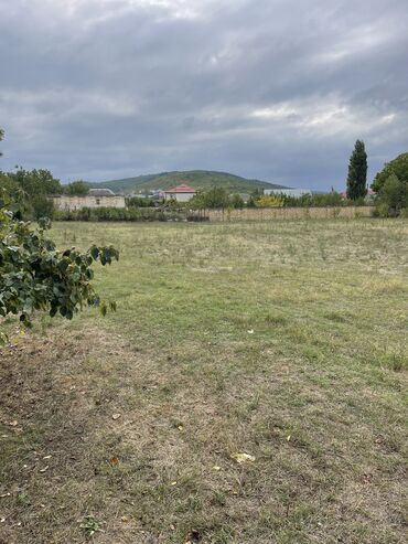 купить дом в азербайджане баку: Quba Rayon Amsar kəndində 16 sot torpağ sahəsi satılır əmlakçılar