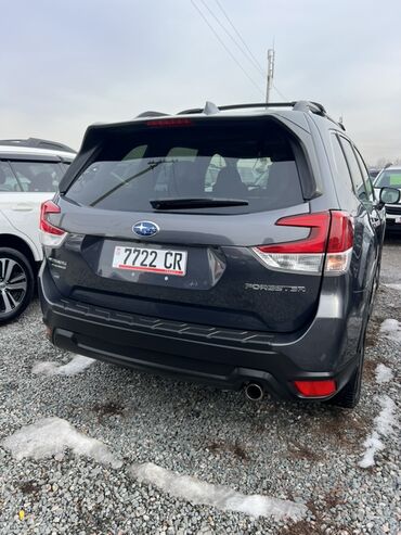 Subaru: Subaru Forester: 2019 г., 2.5 л, Вариатор, Бензин, Кроссовер — 2