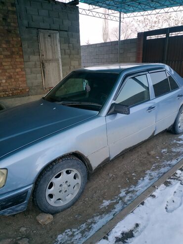 Mercedes-Benz: Mercedes-Benz 220: 1988 г., 2.5 л, Механика, Дизель, Седан