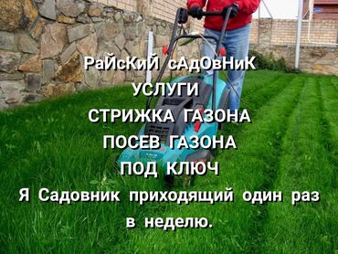 услуги садовников в Кыргызстан | ДВОРНИКИ, САДОВНИКИ: Я САДОВНИК приходящий один раз в неделю уход за садом. Стрижка Газона
