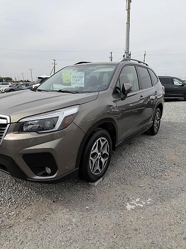forester sk: Subaru Forester: 2021 г., 2.5 л, Автомат, Бензин, Кроссовер — 4