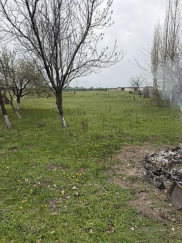 Продажа коттеджей и домов: Продаётся коттедж в селе Петровка (район Военного городка) 📍 Удобное — 12