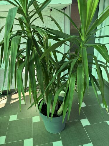 Knjige i stripovi: Dve novogodisnje zvucne knjigice za decu,jedna je 800dinara,knjigici na lalafo.rs — 28 Knjige i stripovi: Dve novogodisnje zvucne knjigice za decu,jedna je 800dinara,knjigici — 28