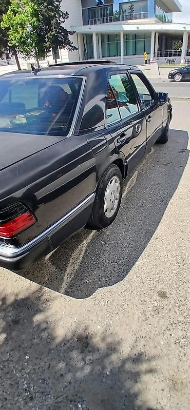 yeşqa mersedes: Mercedes-Benz E 250: 2.5 l | 1993 il Sedan — 6