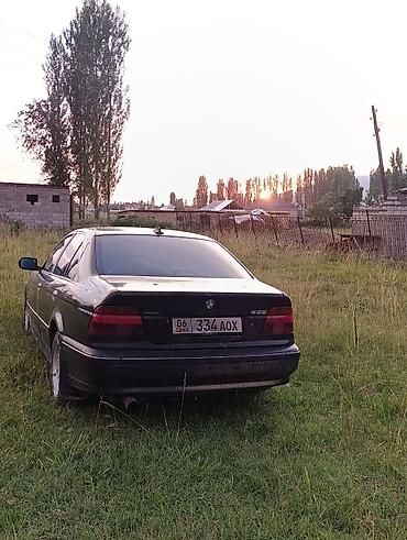 crown athlete 3 5: BMW 525: 2000 г., 2.5 л, Автомат, Бензин, Седан — 4