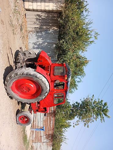 tufan m50 haqqinda: Traktor T40, 1982 il, 40 at gücü, motor 1.5 l, İşlənmiş — 2