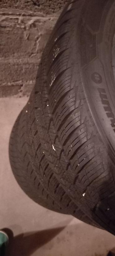 dijagnostika za auto delphi: Barum Polaris 5 zimske gume 205/55/16 godina proizvodnje 2023 — 3