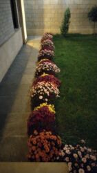 Həyət evləri və villaların satışı: 4 otaqlı, 180 kv. m, Kredit yoxdur, Yeni təmirli — 12