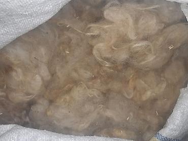 qoyun paltarı: Bu, ağ kisəyə qablaşdırılmış, təbii, emal olunmamış yundur. Material — 1