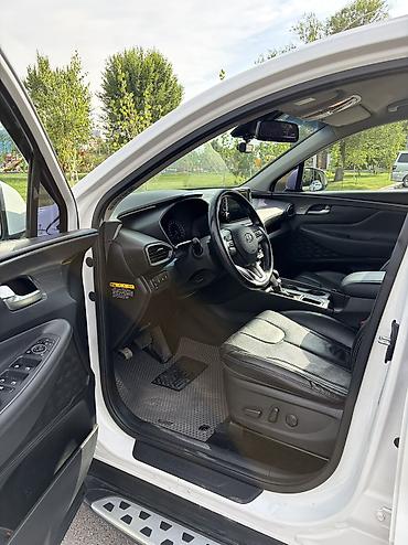 roma: Hyundai Santa Fe: 2018 г., 2 л, Автомат, Дизель, Кроссовер — 9