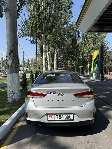 byd khan: Hyundai Sonata: 2019 г., 2 л, Автомат, Бензин, Седан — 6