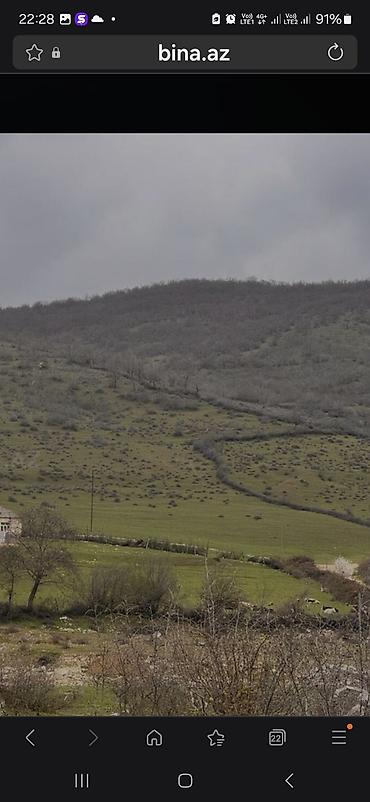 kiraye evlerin kreditle satisi: 6 sot, Kənd təsərrüfatı, Barter mümkündür, Kupça (Çıxarış) — 3