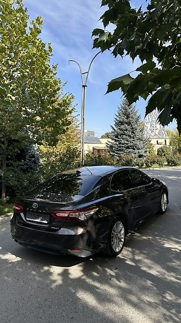 тайота в: Toyota Camry: 2019 г., 2.5 л, Автомат, Гибрид, Седан — 6