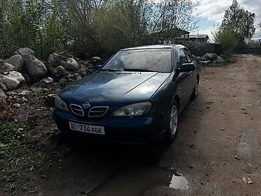 фары опель вектра б: Nissan Primera: 2000 г., 1.6 л, Механика, Бензин, Седан — 1