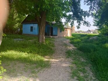купить дом в токмаке запорожской области: 28 соток, Для бизнеса, Красная книга, Тех паспорт, Договор купли-продажи